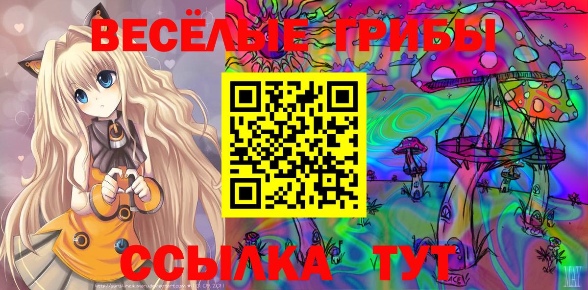 Галлюциногенные грибы Psilocybe Сатка