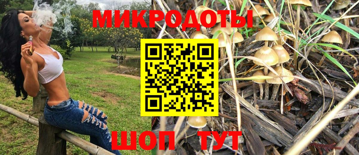 Сатка  даркнет сайт  Вход с VPN  Галлюциногенные грибы Cubensis 